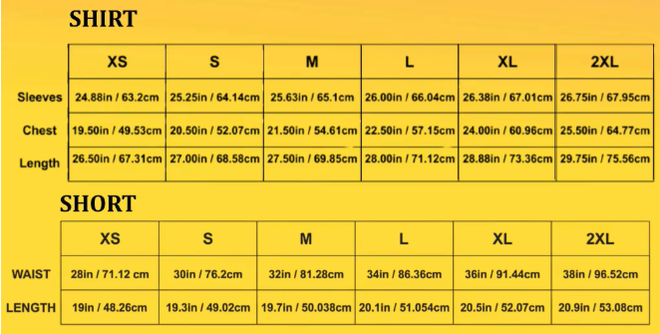 Sportswear Badminton T Shirt Shorts Set